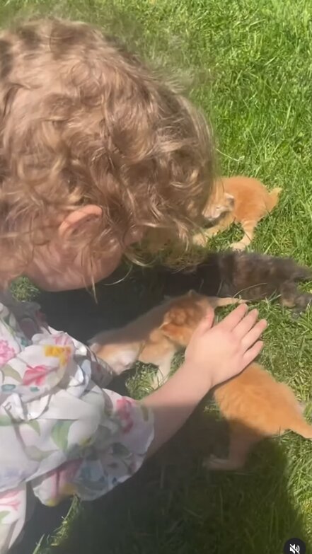 Скрин публикации Натальи Могилевской