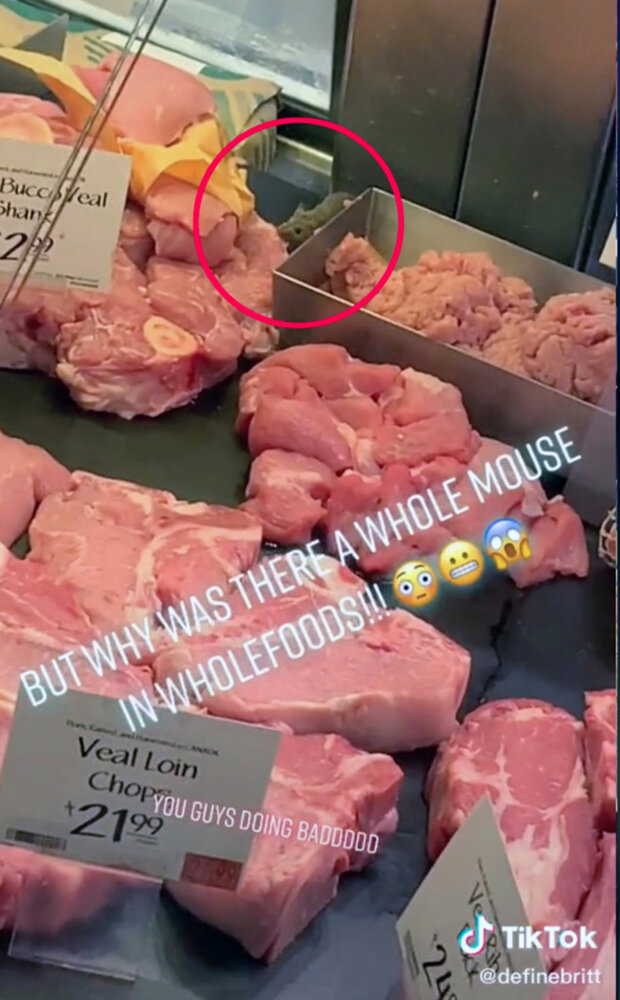 мышь обедала мясом прямо на прилавке