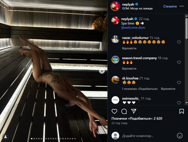 Скрін публікації Анни Неплях