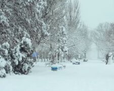 Погода, зима