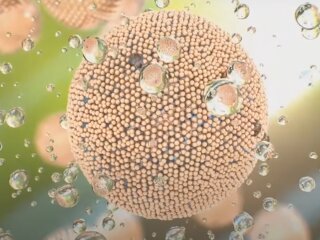 Клітини: скрін з відео