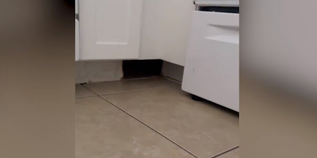 таємниче послання в стіні дівчини