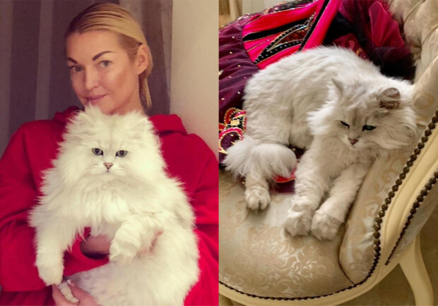 Анастасія Волочкова