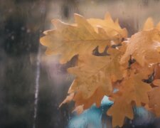 Погода