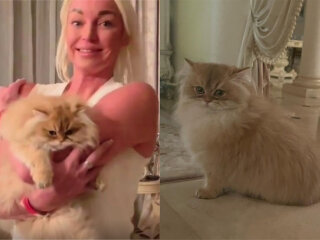 Анастасия Волочкова