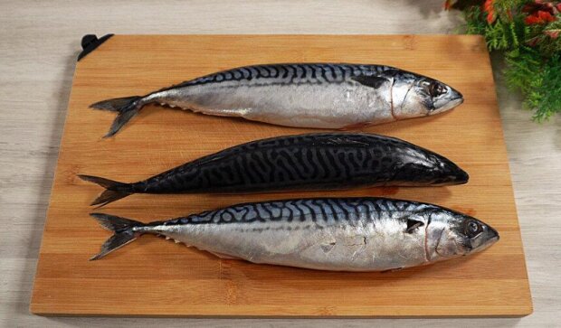 Скумбрия, фото: plyashka.com