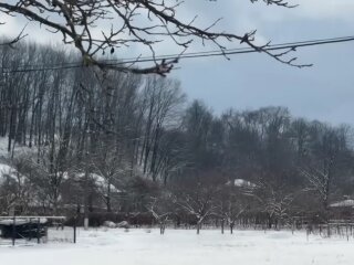 Погода, зима, сніг, морози