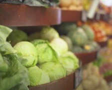 Білокачанна капуста