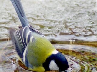 Погода, потепление, весна