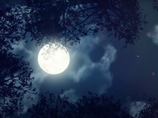 Коридор Затмений