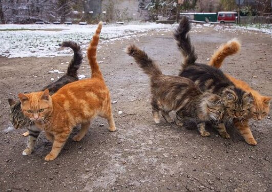 Фото из Instagram "Это Запорожье"