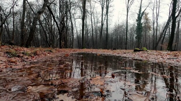 Погода, осінь, дощі
