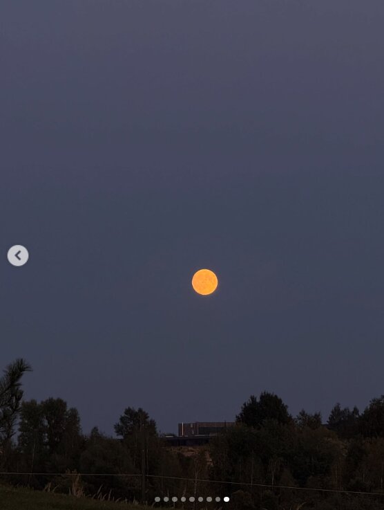 Скрин публикации Даши Квитковой