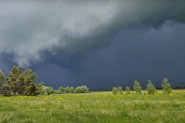 Погода
