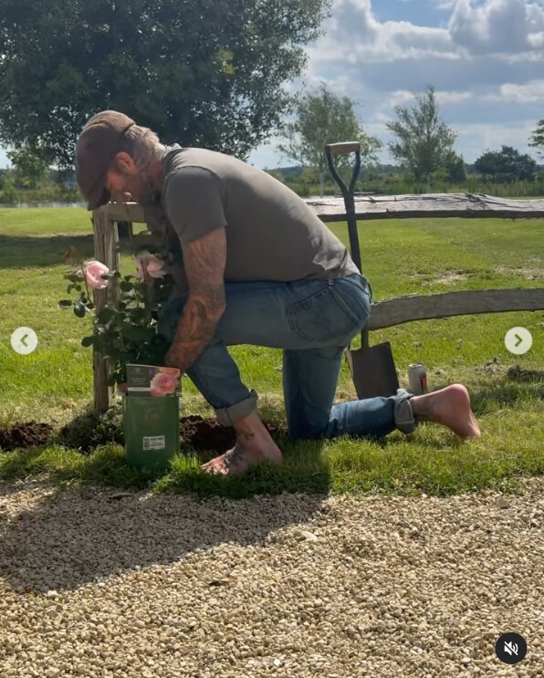 Скрин публикации Дэвида Бекхэма