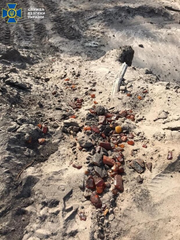 СБУ змело намивачів бурштину