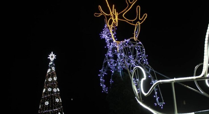 Елка в Киеве, фото из соцсетей