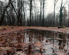 Погода, осень, дожди