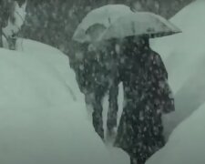 Погода, снегопад, зима