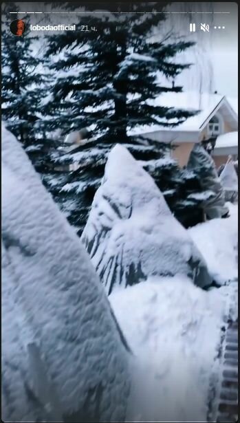 Сториз Светланы Лободы