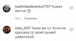 Коментарі на пост з фан-сторінки Алли Пугачової в Instagram