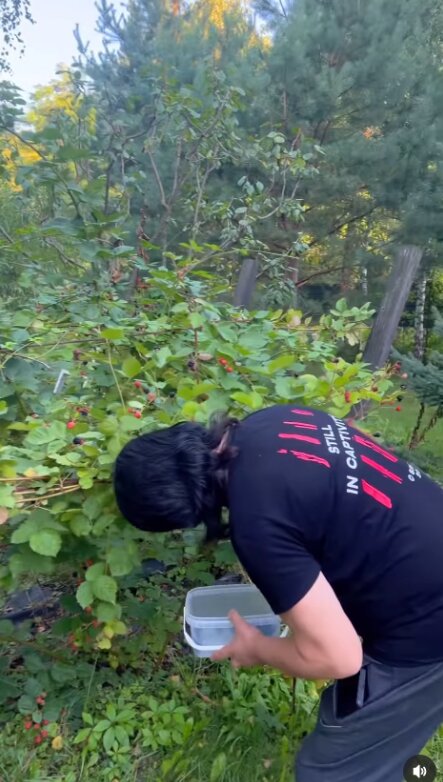 Скрин публикации Павла Зиброва