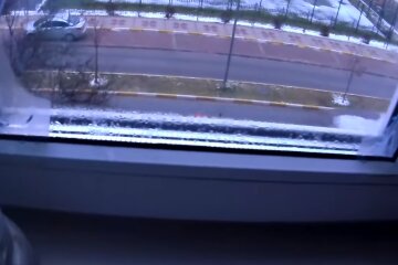 Окна, конденсат, плесень