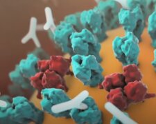 У заболевших коронавирусом обнаружили опасные нарушения в сердце, почках и селезенке