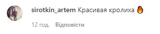 Комментарии к посту Тины Кароль в Instagram