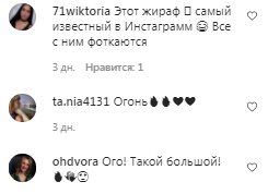 Комментарии на пост Кати Репяховой в Instagram