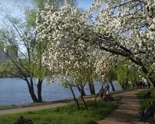 Погода, весна, потепление