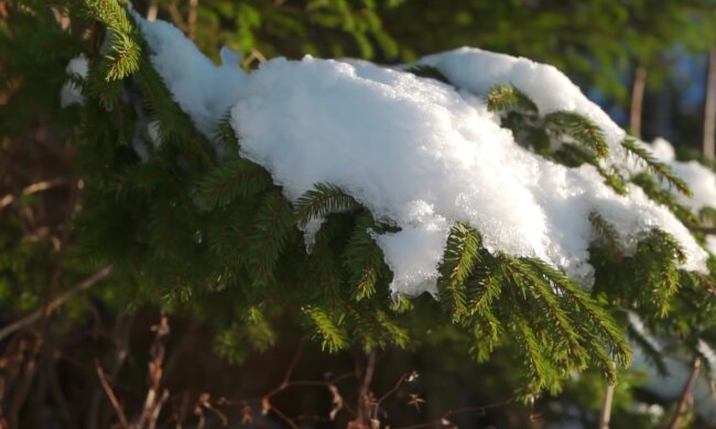 Погода, потепління