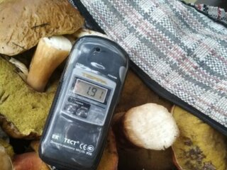 Радиоактивный "улов"