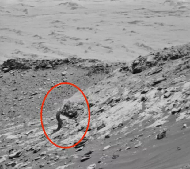 удавана фігура слона на Марсі