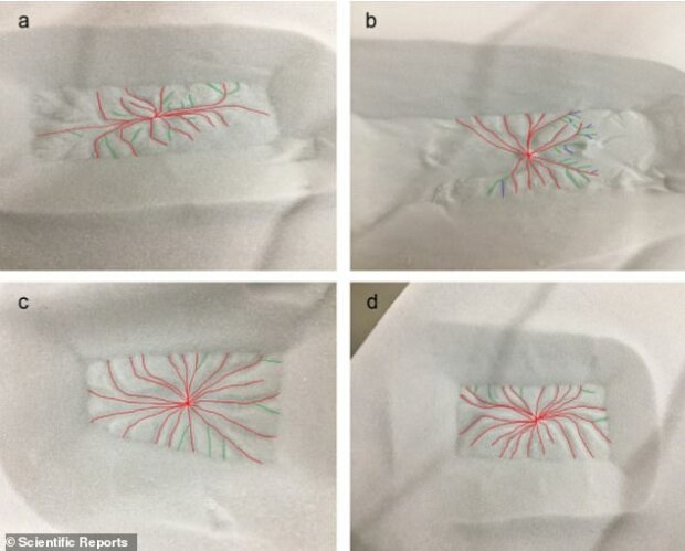 таємничі "павуки" на Марсі