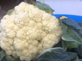 Цветная капуста