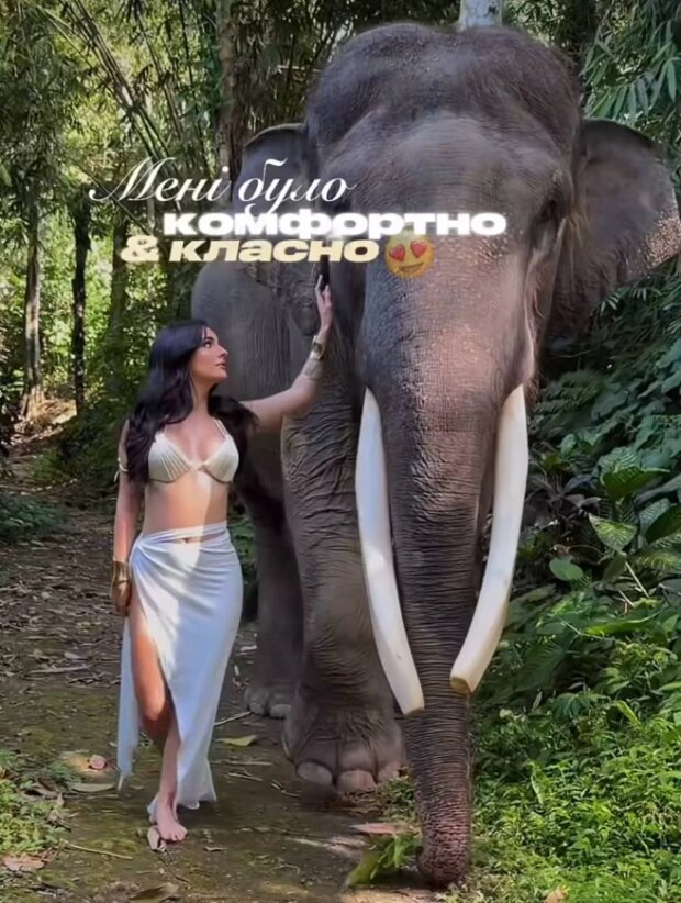 Скрин пубилкации Анны Тринчер