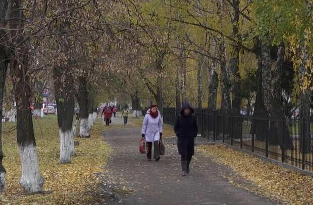 Погода в Україні, фото: кадр з відео