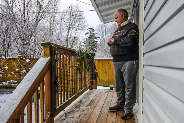 белочки воруют гирлянды с елки канадца