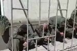 полонені рашисти