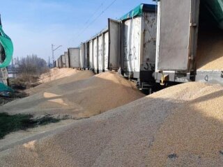 Поляки высыпали украинское зерно, фото из соцсетей