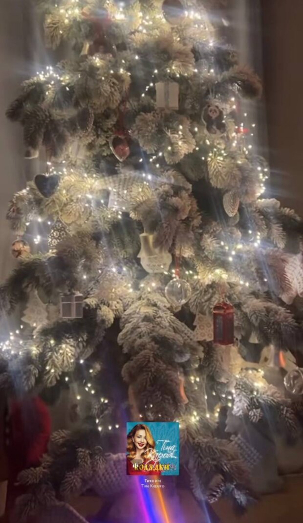 Сториз Тины Кароль