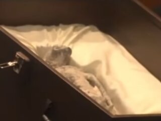 Мумія НЛО, кадр з відео