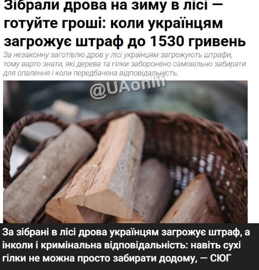 Отопление, штрафы за дрова