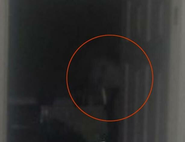 Парень сделал фото в темноте, услышав странные звуки