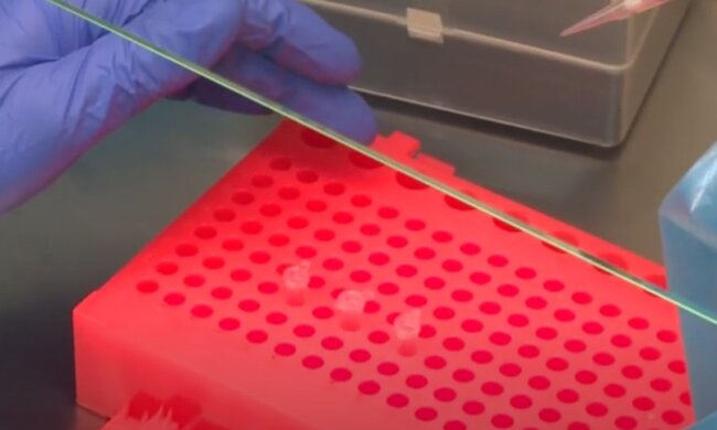 Вчені з'ясували, яким чином коронавірус передається найчастіше