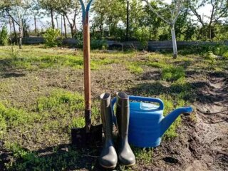 Город, зображення з вільних джерел