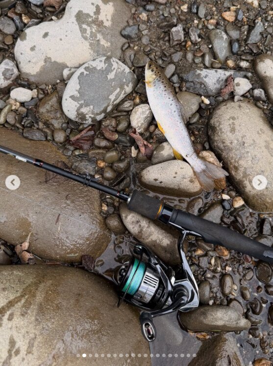 Скрін публікації Даші Астаф'євої