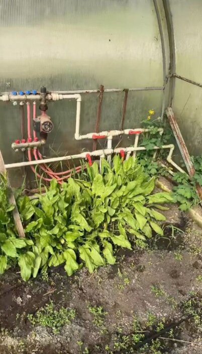 Скрин публікації Олі Полякової