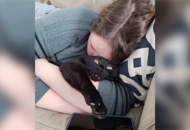 дівчина і кіт